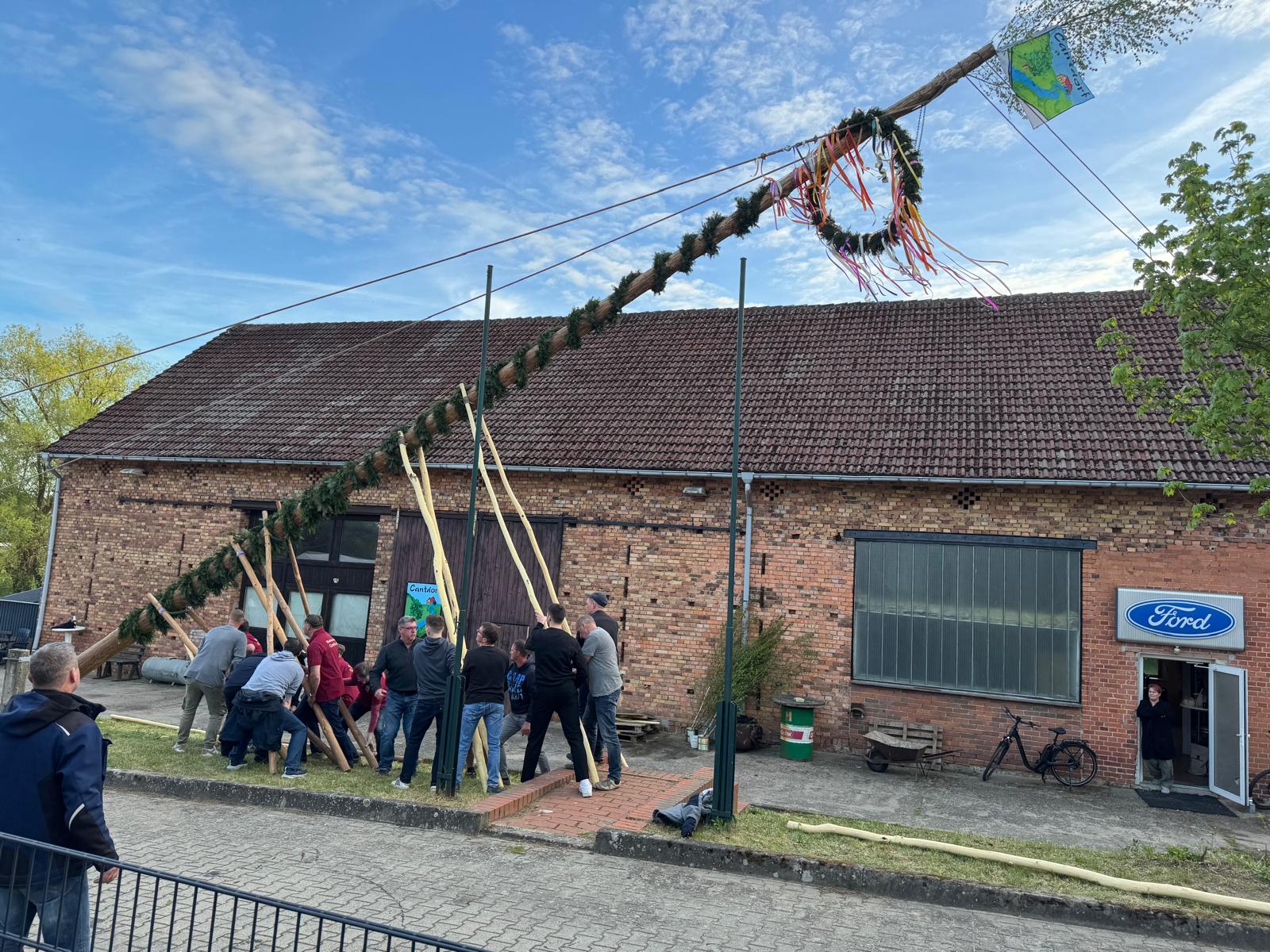 Maibaumstellen