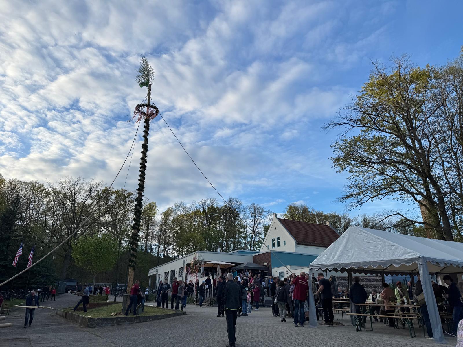 Maibaumstellen