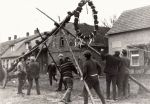 Maibaumstellen69.jpg